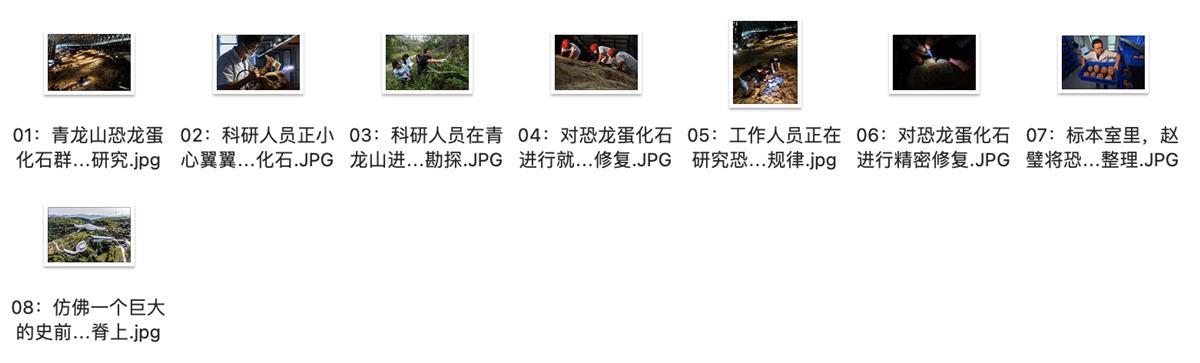 截屏2023-03-14 10.18.34.png