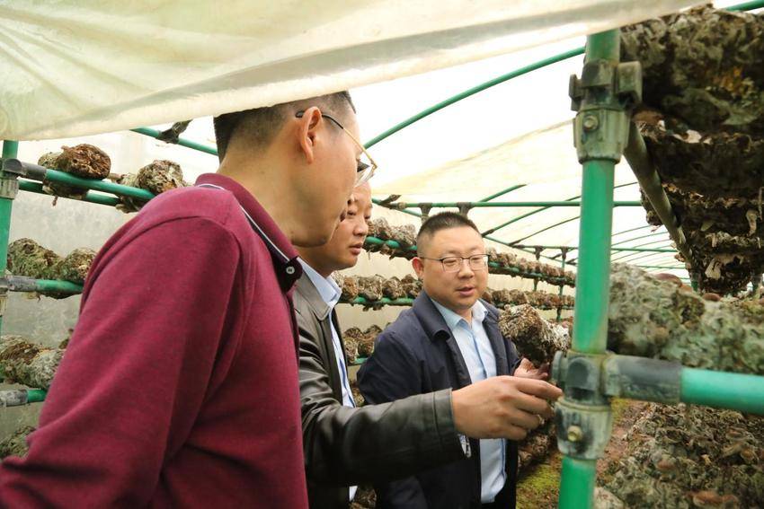 交流促发展，携手共提升.docx