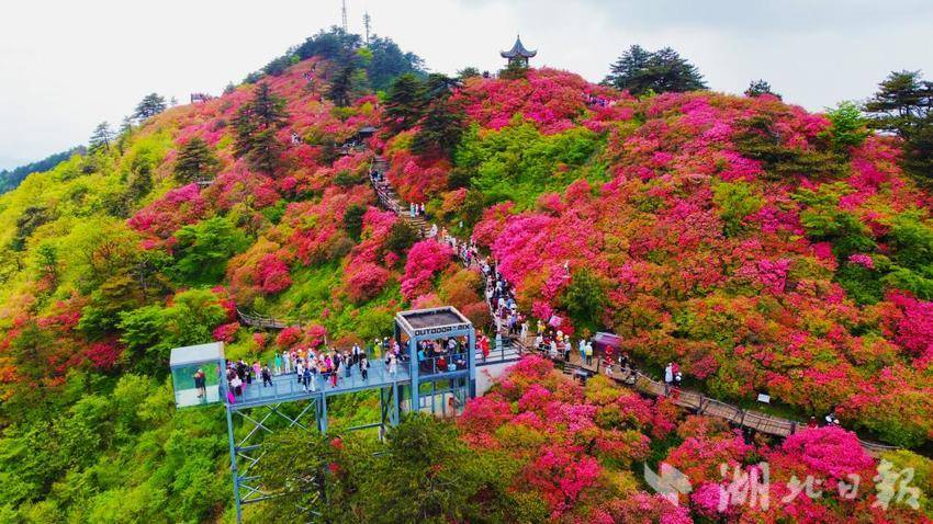 龟峰山四季.doc