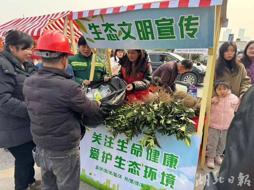 罗家桥街道开展“塑料瓶换绿植，环保常相伴”主题活动.docx