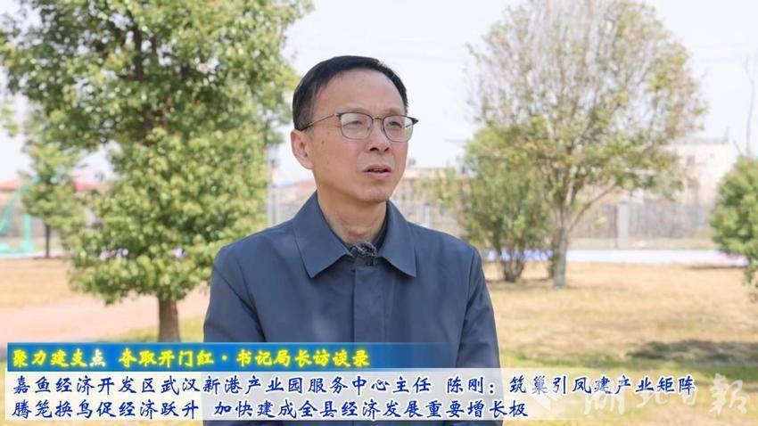 嘉鱼经济开发区武汉新港产业园服务中心主任陈刚.docx