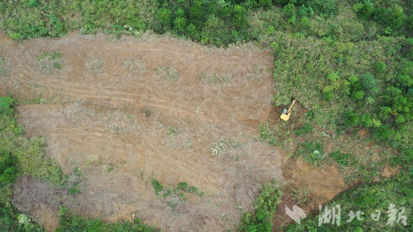 挖机在高罗镇光荣桥村进行清表作业