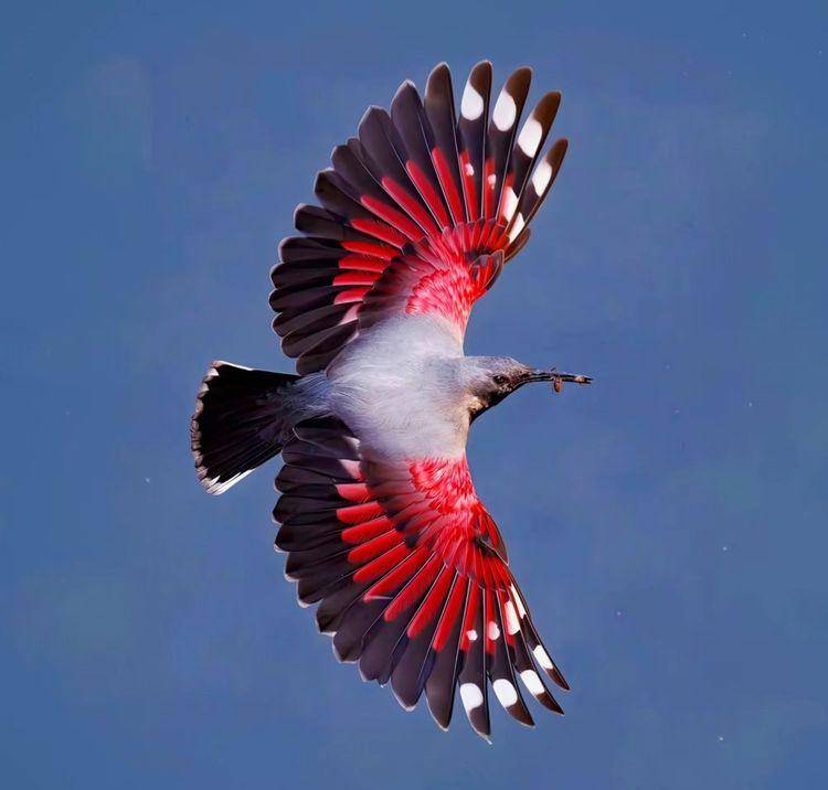 北緯31秘境檔案黑美20251216090346.docx