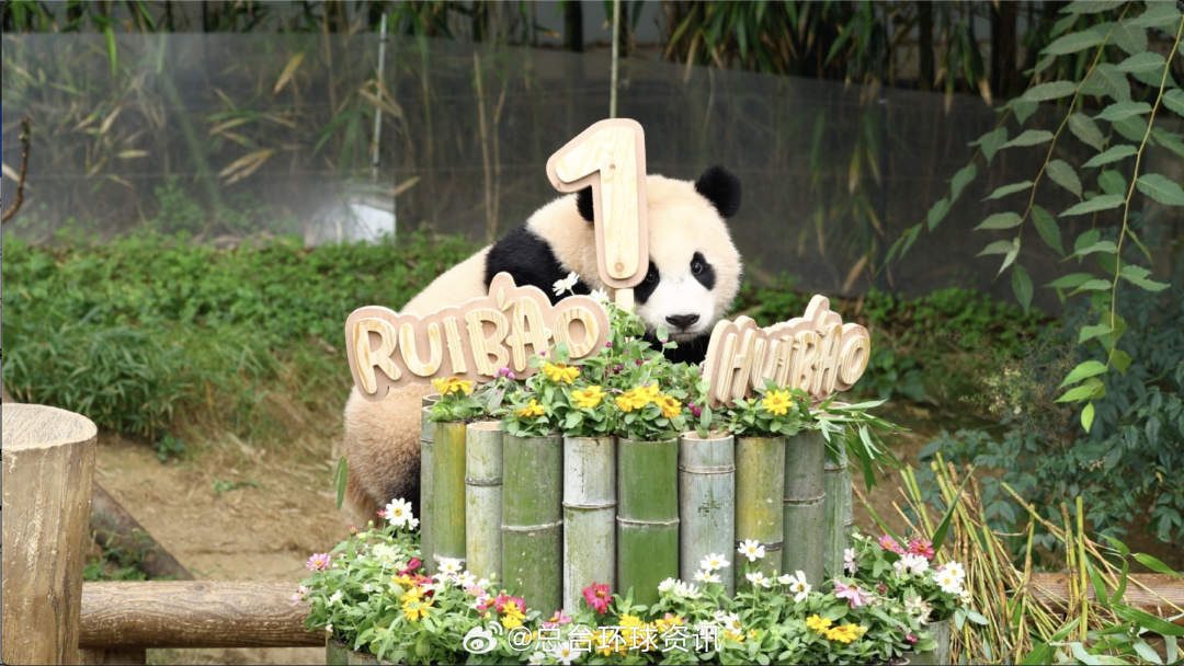 4.jpg?x-oss-process=style/w10