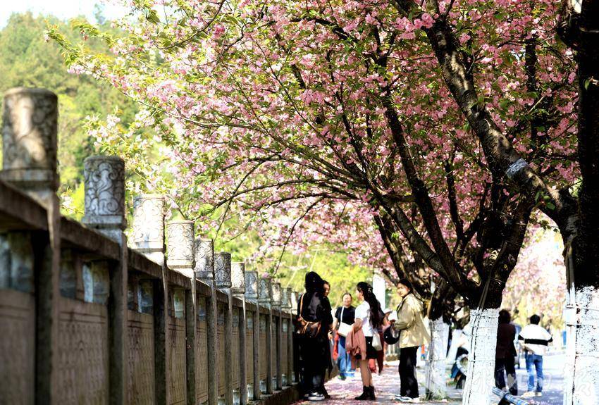 IMGL8512_副本_副本.jpg IMGL8512_副本_副本.jpg