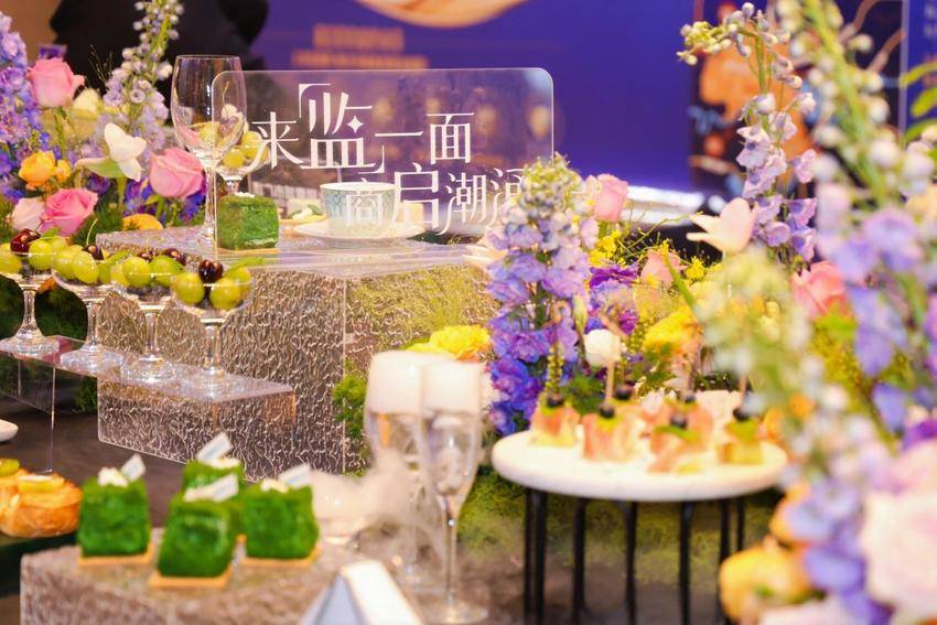 招商大会新闻通稿(517)带图.docx