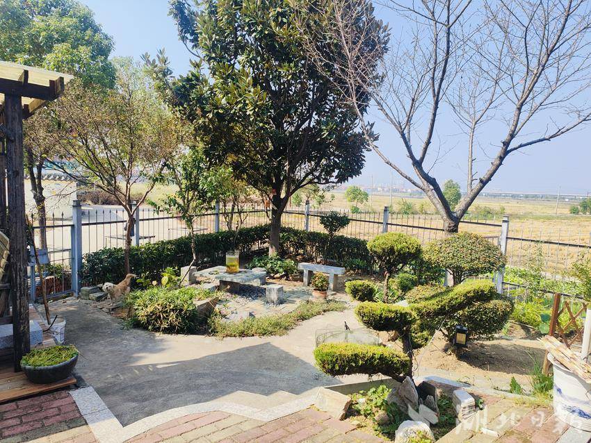 兰杰村重阳活动10.29.doc