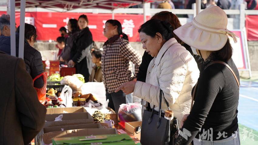 “红润清水湾·助农拓新篇”活动启幕 五峰清水湾村以文旅融合激活乡村振兴新动能(图8)