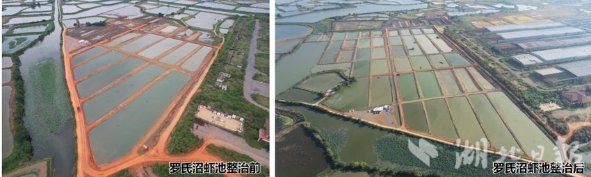 渡普镇全域国土整治项目建设按下“加速键”(1).docx
