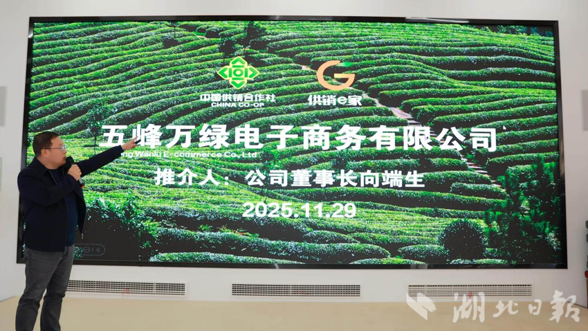 “菜篓篓”上线6.0体验电商模式 助力五峰农产品搭“云”出山(图2)