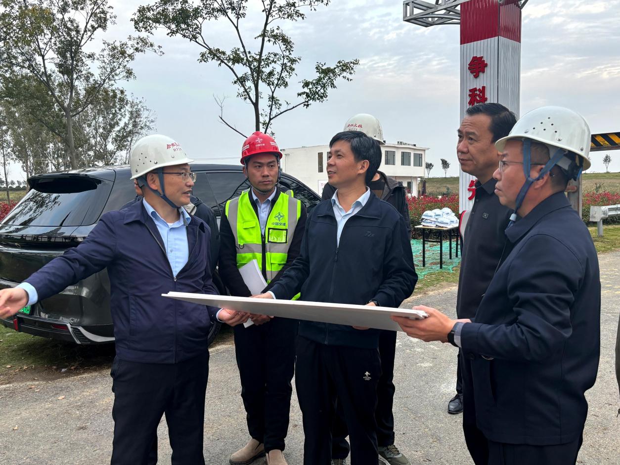 【一线传声】李命山到方兴大道东延南淝河特大桥项目调研.docx