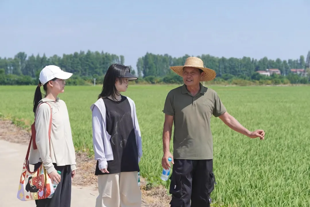 【熊强敏为实践团队成员黄冰瑶余靖雯介绍珍珠稻】.jpg
