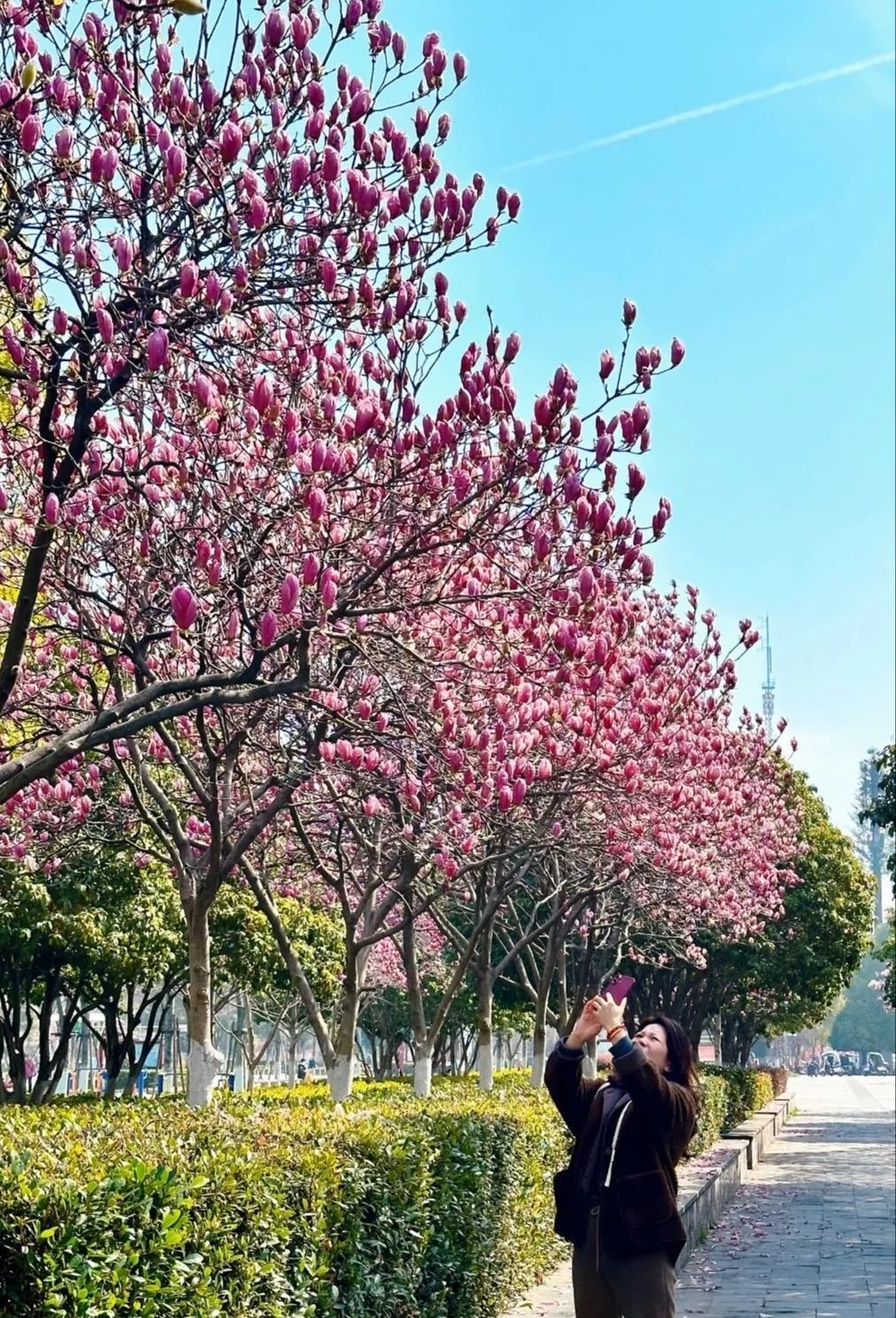 3月18日(2).jpg