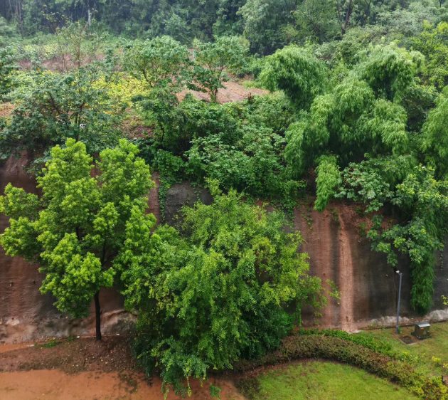 夏季雨水倒灌困扰居民 社区联动多方高效整治解民忧.docx