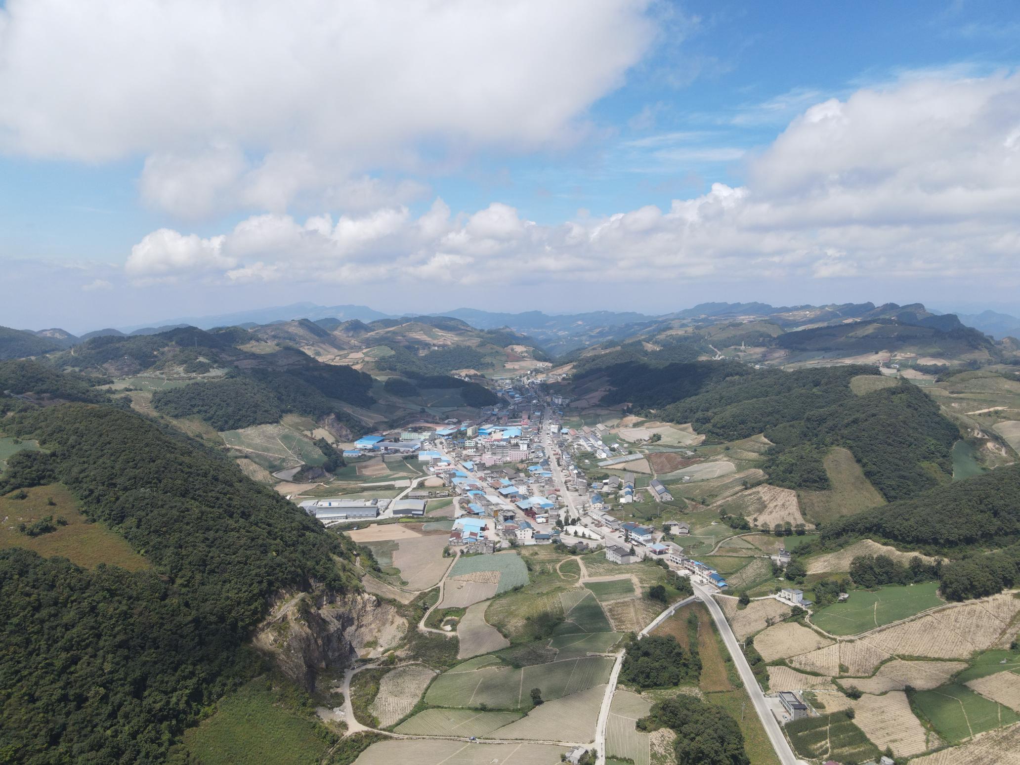 凉爽辽阔的火烧坪 摄影：楚天都市报极目新闻通讯员谢阳