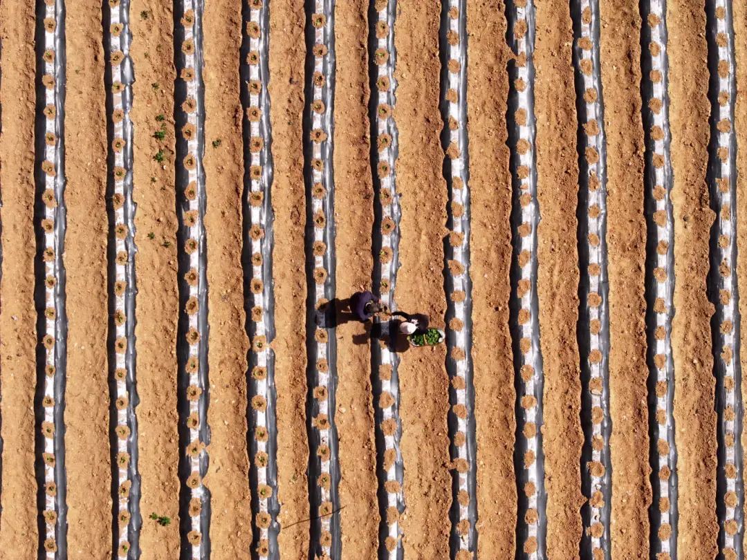 DJI_20250509134816_0120_D.JPG