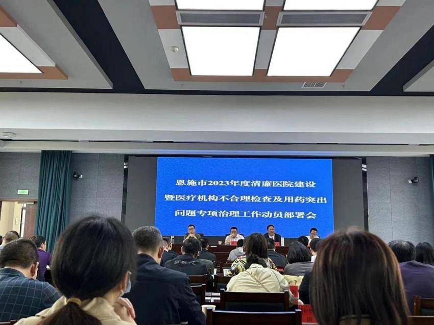 恩施市公共卫生服务综述.docx