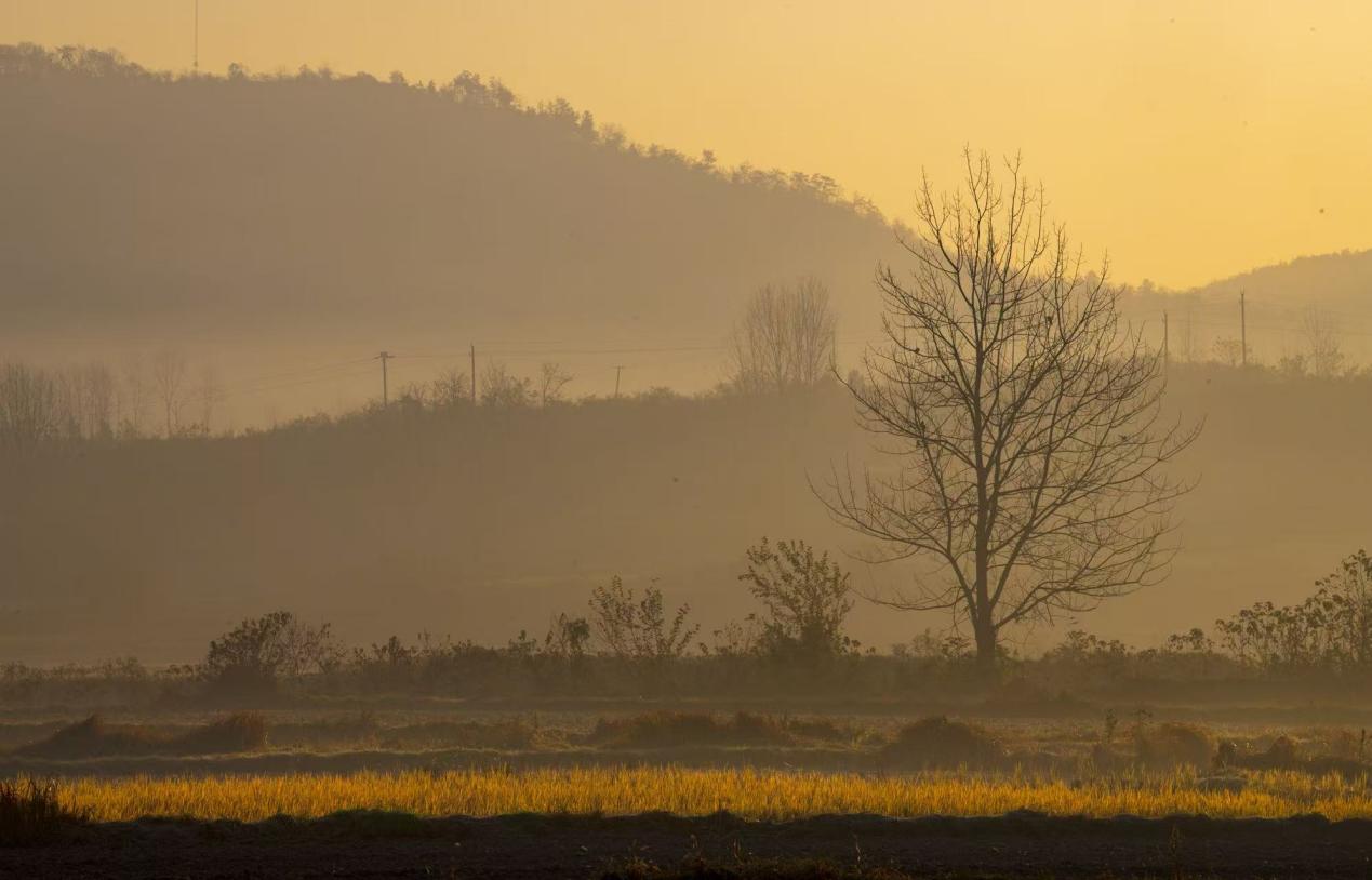 新建 DOCX 文档.docx