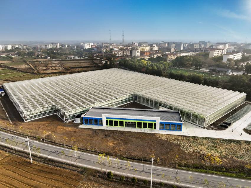 生产基地，占地 60 余亩，总投资 4000 万元，建成 21000 平米国际领先的半封闭荷兰智能温室。