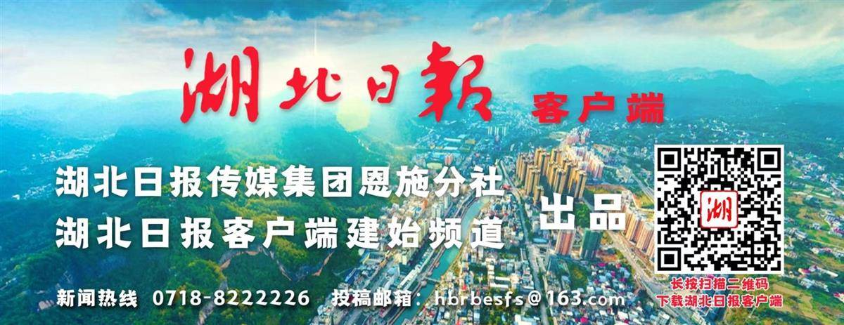 湖北日报.jpg