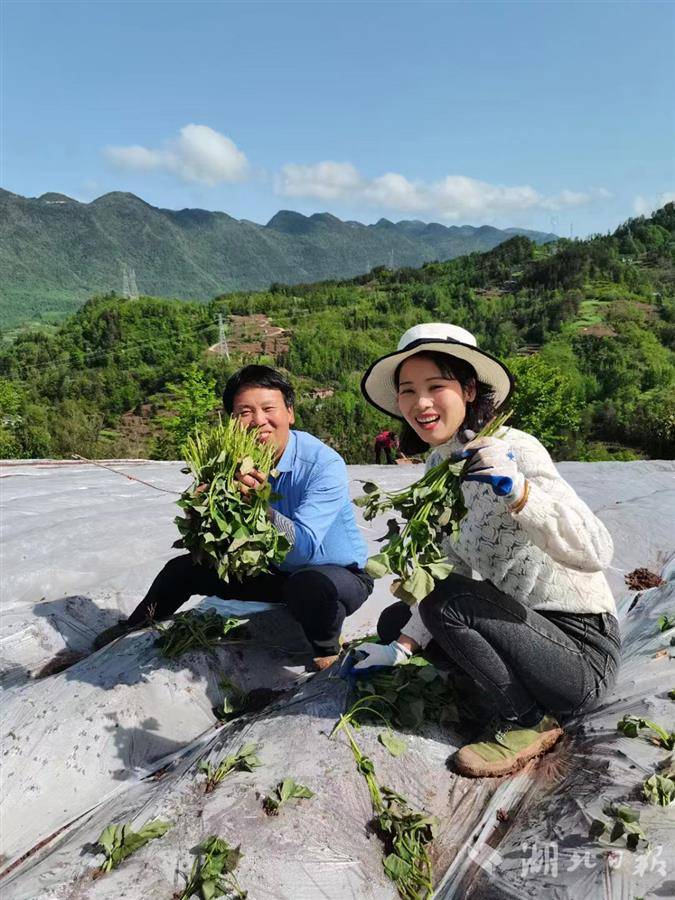 图（2）刘显洲夫妇正在栽培.jpg