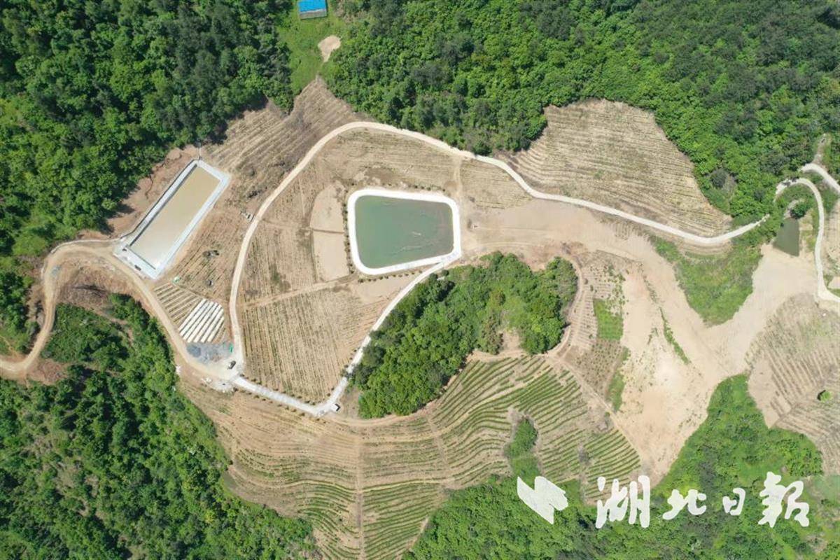 竹溪三年建成高标准农田6.81万亩 - 湖北日报新闻客户端