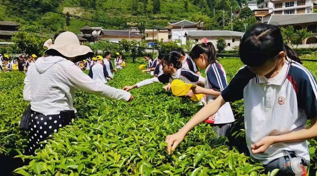 宣恩:萨玛长潭•国际研学营地正式开营 - 湖北日报新闻客户端