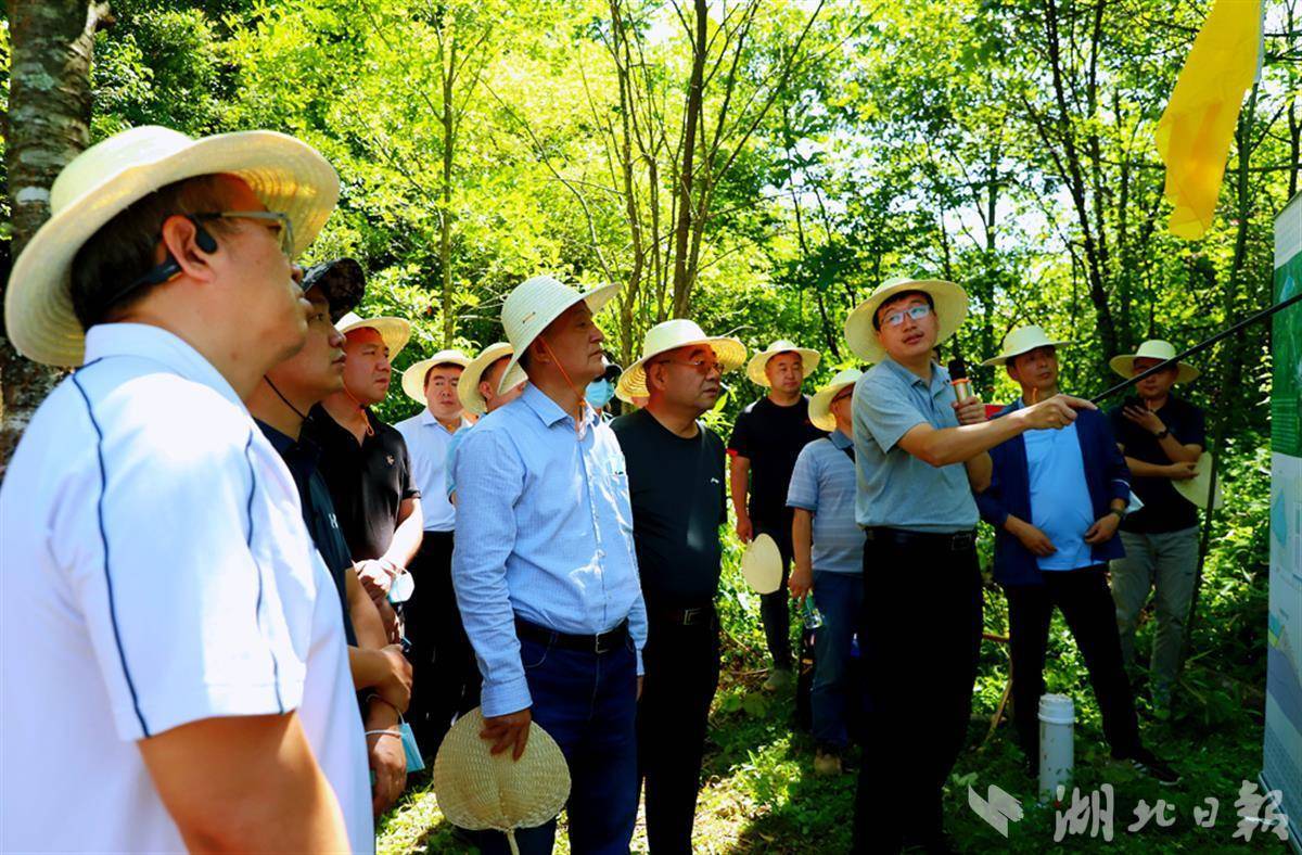 fc69f97419f84a4c9002119e869473de.jpg fc69f97419f84a4c9002119e869473de.jpg