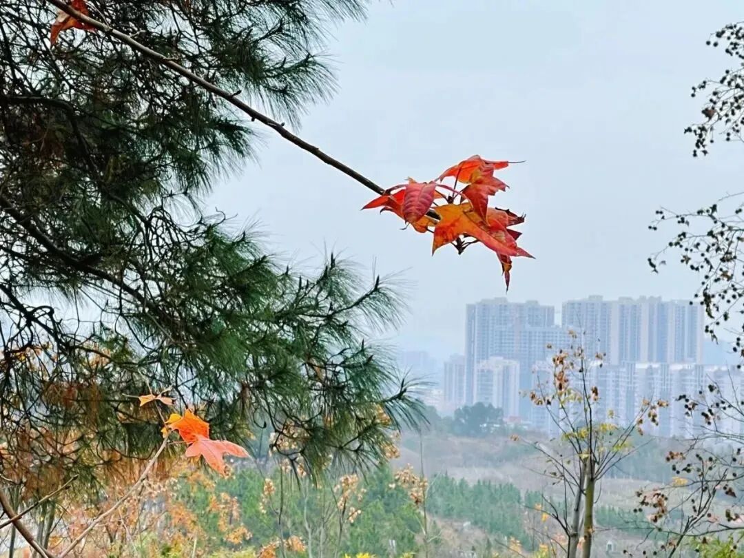 独山1.jpg