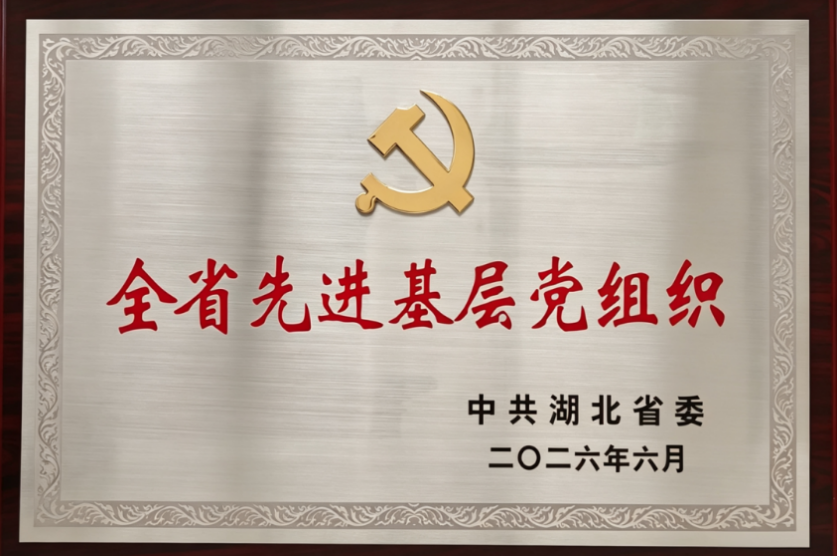 中南电力党委荣获湖北省先进基层党组织称号(1).docx