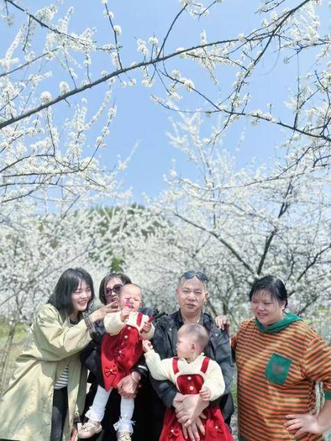 这条“樱花大道”，才是天门春日的“浪漫顶流”!.docx