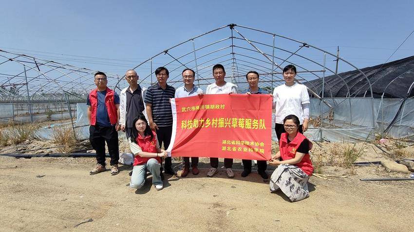 666666666666666666科技赋能 结对帮扶 助力农业提质增效.docx