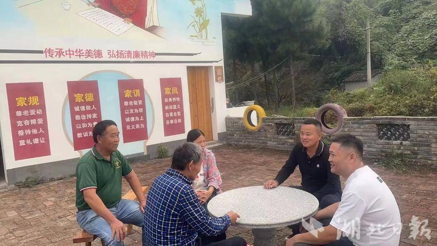 武穴市大金镇：“能人”返乡当支书，扎根基层助振兴.doc