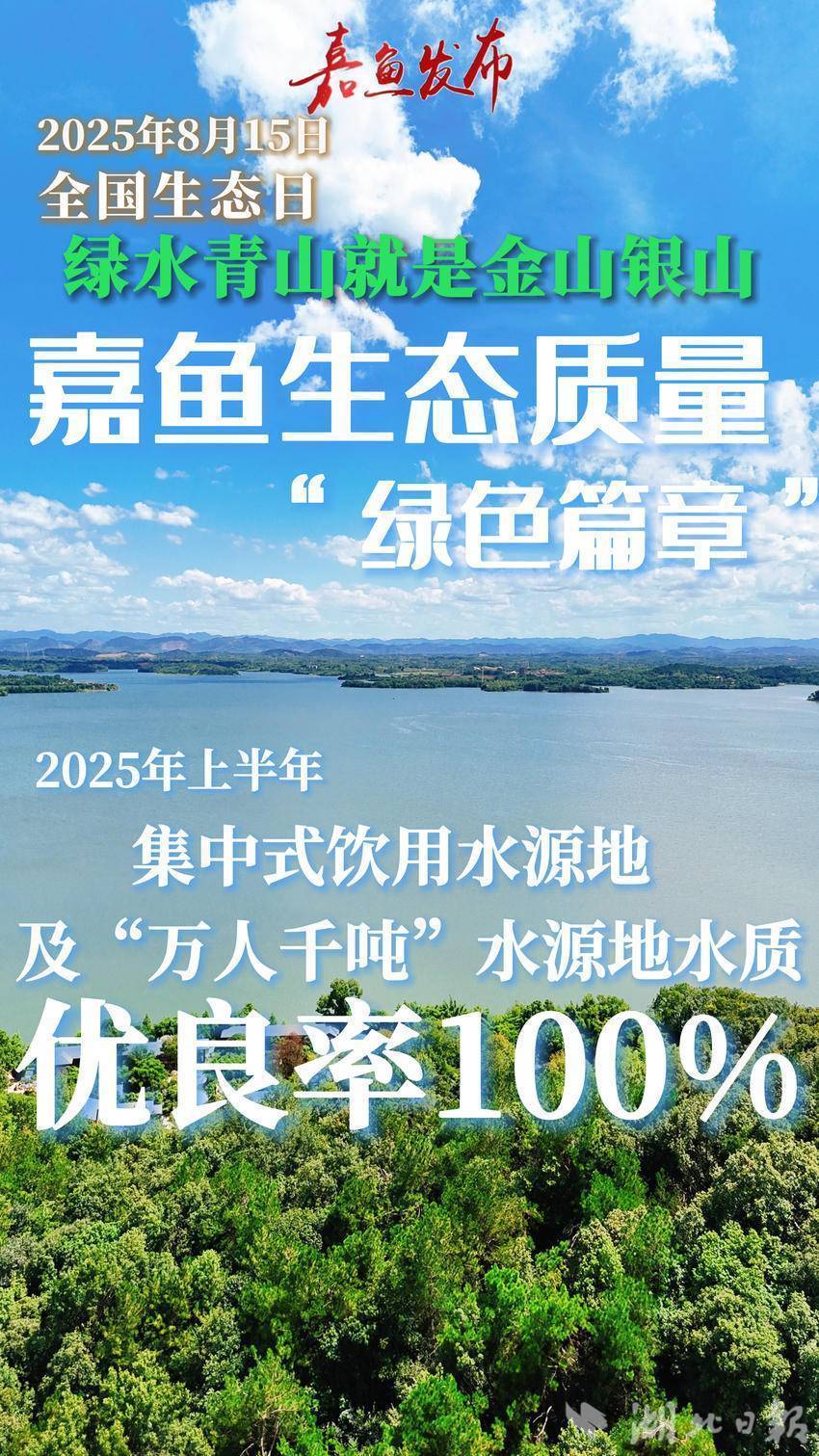 海报  数说嘉鱼生态质量“绿色篇章”(1).doc