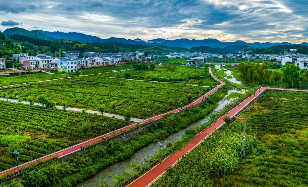 蒋家堰镇岳王庙村
