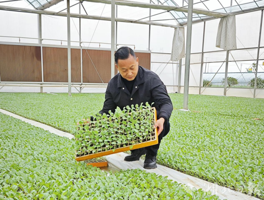 嘉鱼22名科技特派员下乡助力乡村振兴.docx