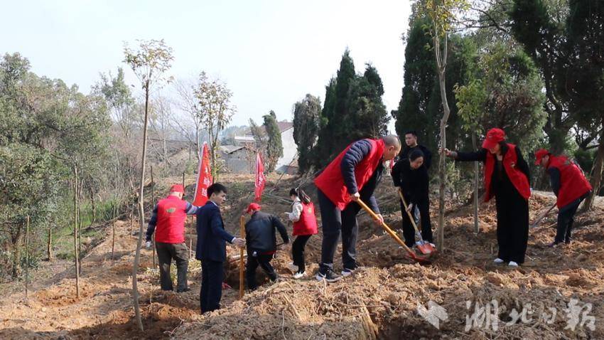 蕲春县（赤龙湖和联投公司）义务植树活动现场