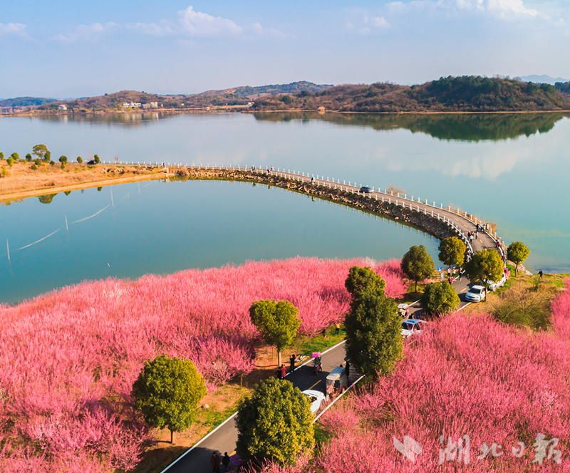 东沟镇大桥村梅花坞景点