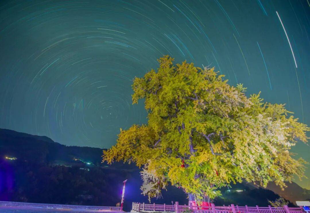 杨林三渡河千年银杏邂逅星空银河(雷勇)4.jpg