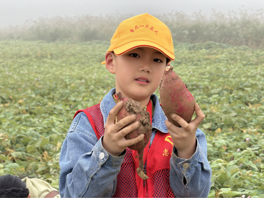 田间挖薯寻乐趣 亲子假期别样甜.docx