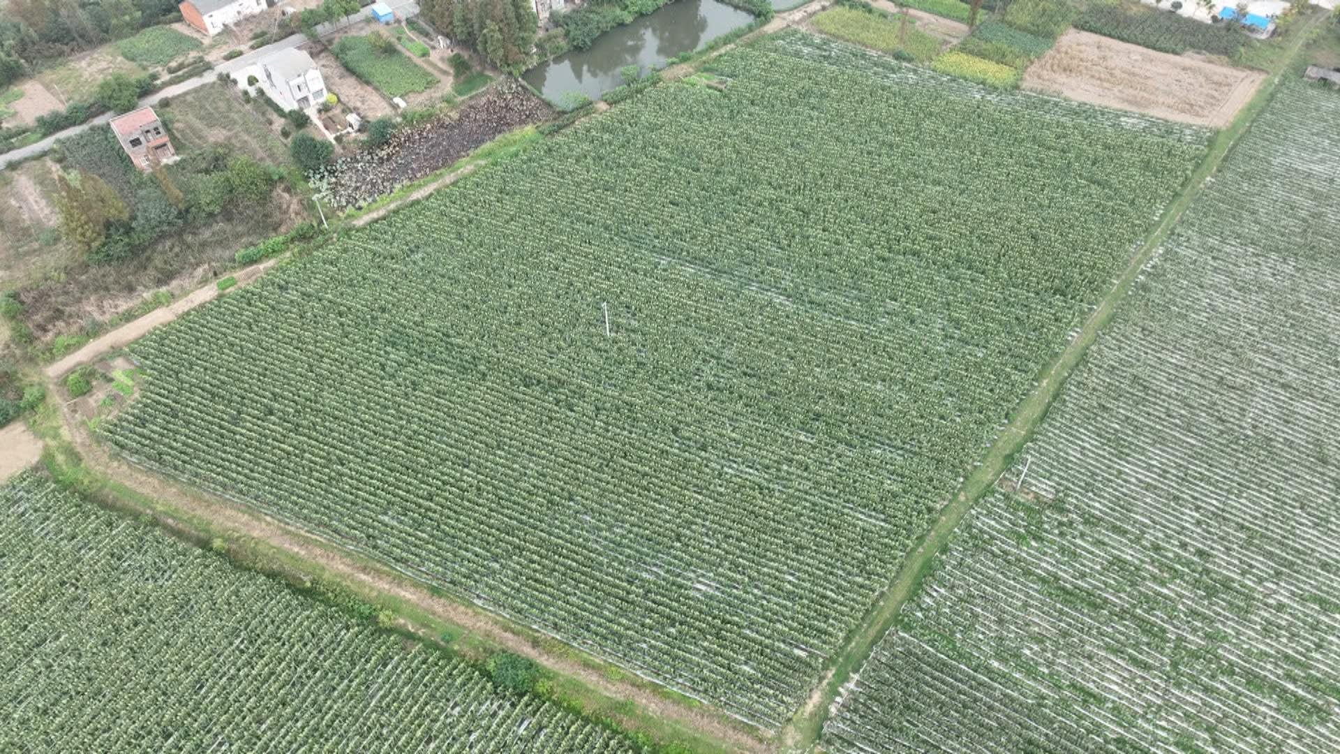 2000015.jpg