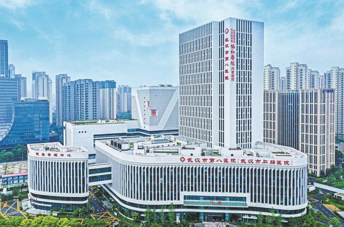 医院耗材为什么要托管协和托管下沉“国家队”资源 全力满足群众健康需求 武汉市第八医院跑出学科建设加速度_https://www.jmylbn.com_新闻资讯_第1张