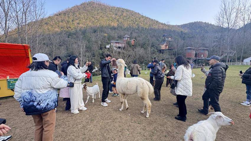 （1231）享福利启新程 “乘着高铁来京山”首月优惠福利成效凸显.docx