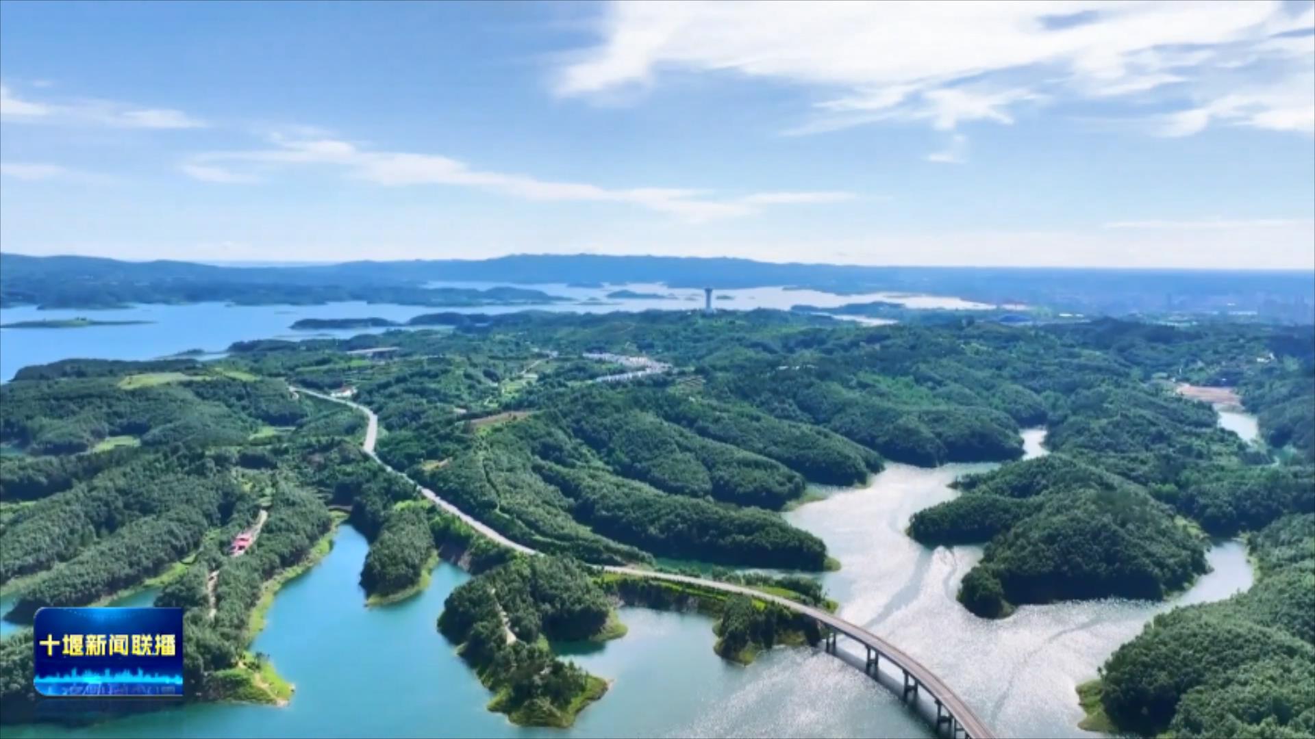 全力守护筑牢生态屏障 绿色转型激活山水价值.mp4_20250815_201925037