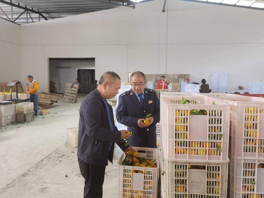 南漳县税务局工作人员走访襄峡果蔬公司柑橘仓库，了解企业经营情况