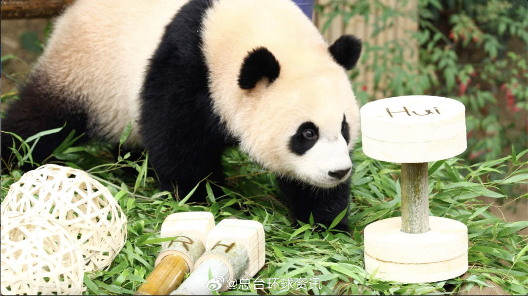 2.jpg?x-oss-process=style/w10