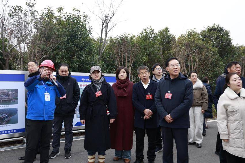 【一线传声】淮南市政协委员视察淮南淮河大桥项目.docx