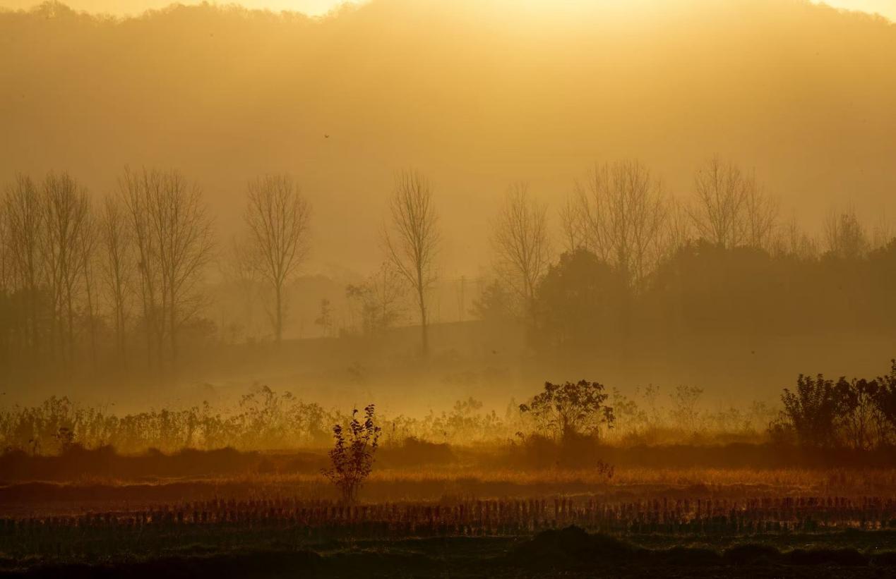 新建 DOCX 文档.docx