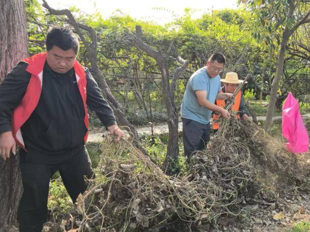 清洁家园聚合力 魅力蔡家同共享.docx