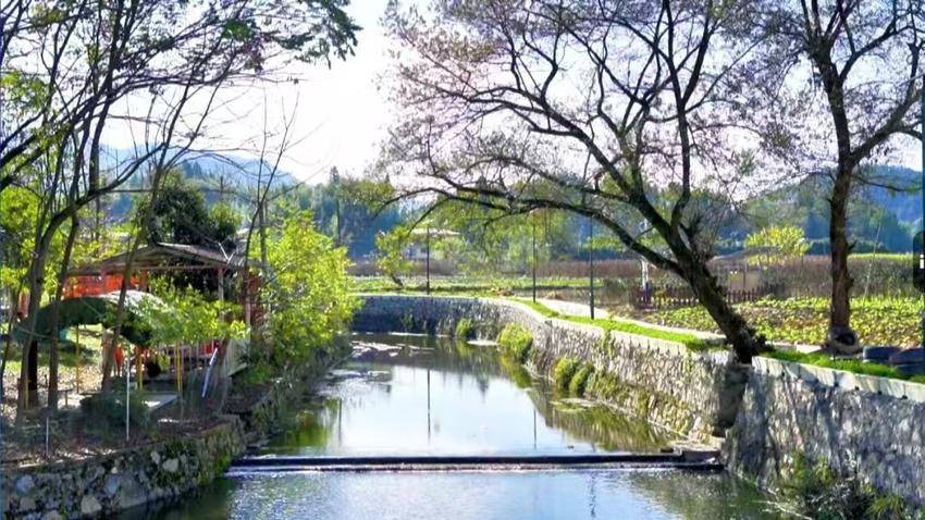 野猫水村：古韵与生机交织的田园长卷(1).docx